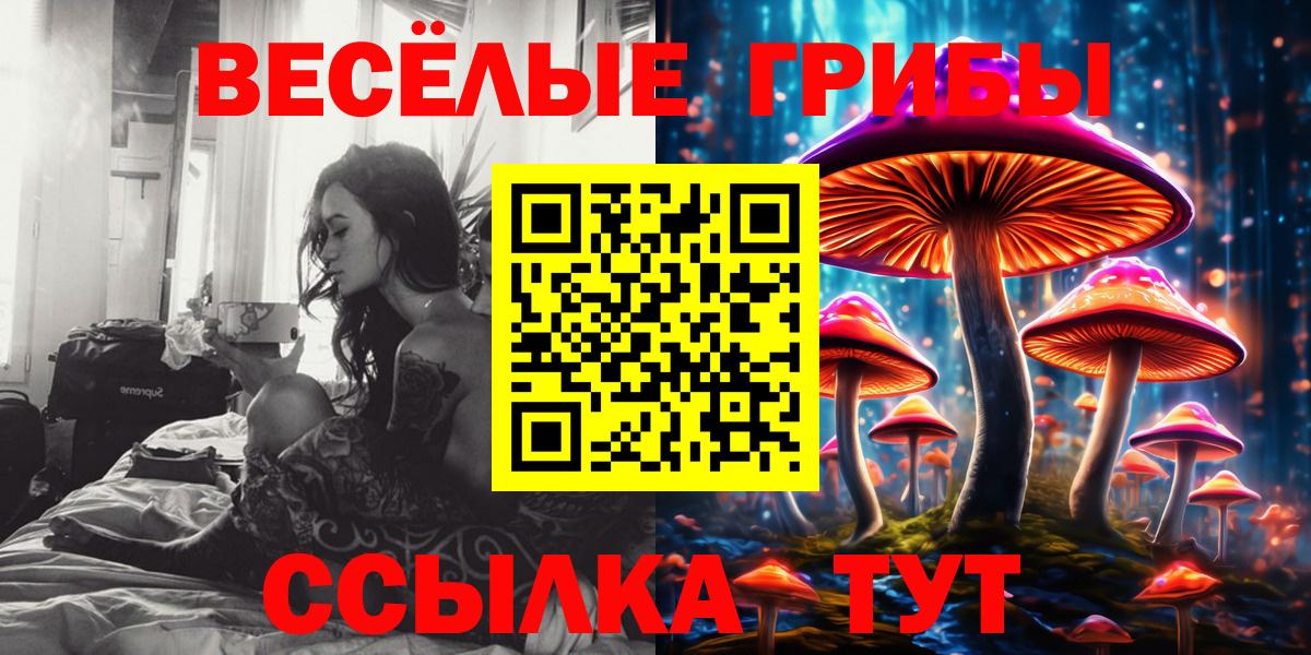 Зеленогорск  купить   Галлюциногенные грибы Magic Shrooms  Вход с VPN  Псилоцибиновые грибы мицелий 